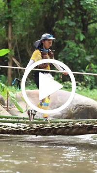 BIB:  <button type="button" onclick="openModal(26800582)" class="btn btn-primary btn-sm float-right" data-toggle="modal" data-target=".modal-high-quality">
                <i class="fa fa-download"></i> Download
                </button>